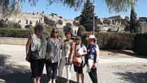 כניסה מהירה ללא תור לפארק הארכיאולוגי פומפיי עם מדריך מומחה