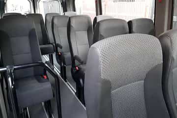 העברת הלוך ושוב משדה התעופה ליבריה לריו גואנקסטה, פאלאס