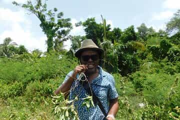 סיור ביום בתStory of Emancipation and Slavery in Guyana