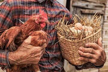 Private traditional lunch with pure produce on a Corfu farm