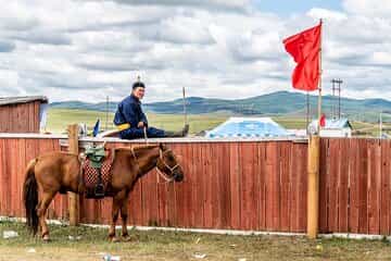 Horse Breeders’ Paradise