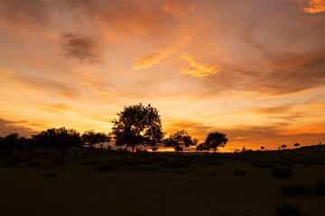 Horse Breeders’ Paradise