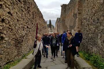 Rome to Pompeii Day Trip–Add a Guided Tour for Richer Experience