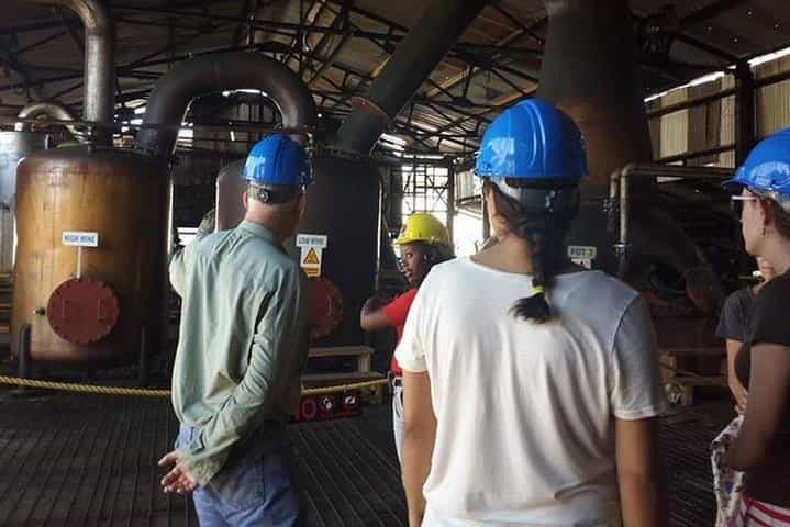 סיור רום באחוזת המפדן וארוחת צהריים מפאלמות'