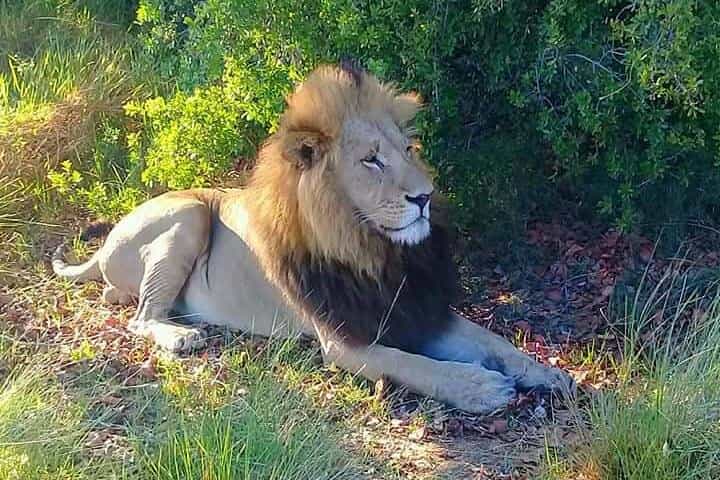 טיול יומי לצ'ובה