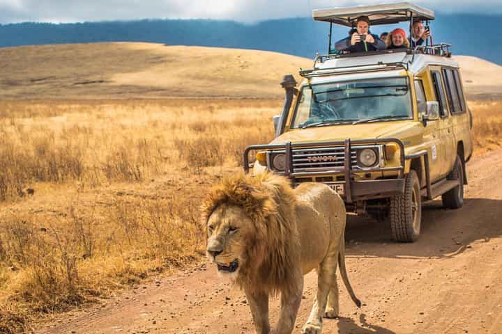 4 Days Tanzania Safari - Tarangire, Serengeti, Ngorongoro Crater 