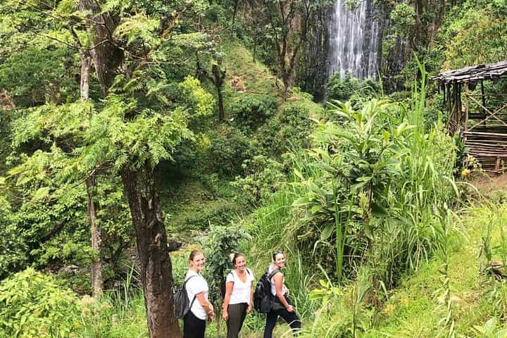 Materuni Waterfalls, Coffee & Kikuletwa Hot Spring Day Tour