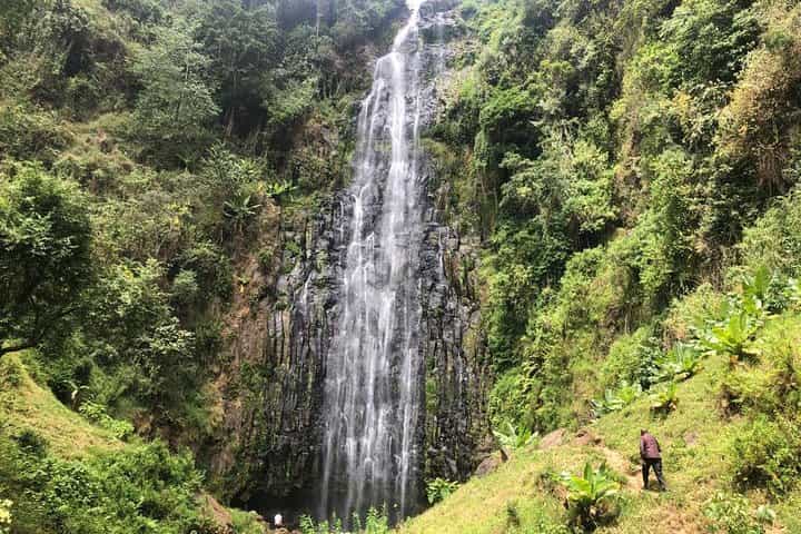 Materuni Waterfalls, Coffee & Kikuletwa Hot Spring Day Tour