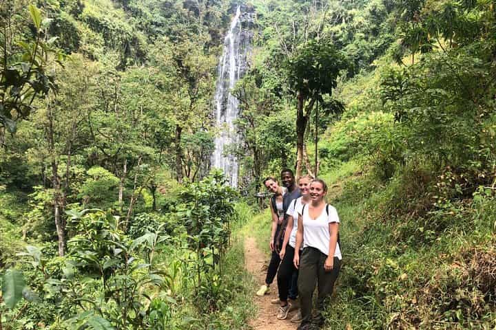 Materuni Waterfalls, Coffee & Kikuletwa Hot Spring Day Tour