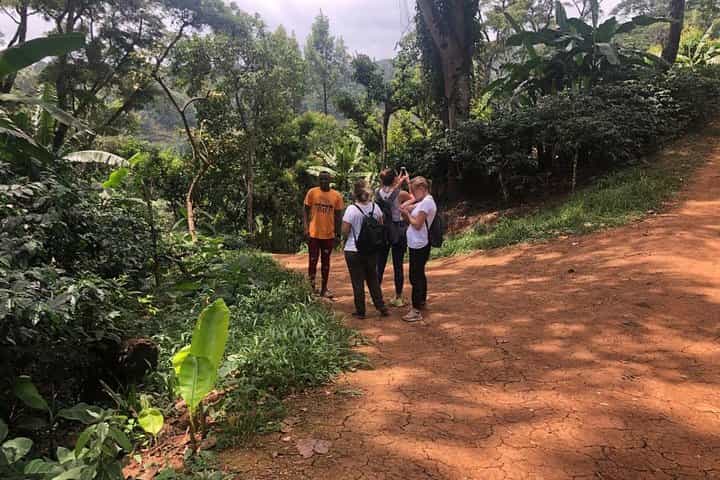 Materuni Waterfalls, Coffee & Kikuletwa Hot Spring Day Tour