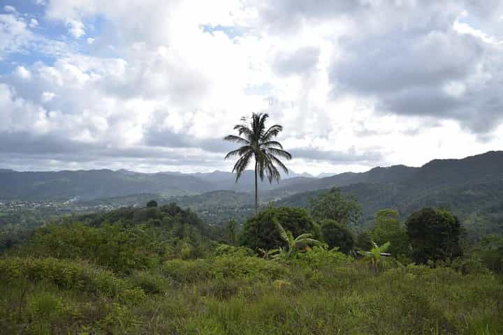 שביל טיול נייטר וורלד סנט לוסיה