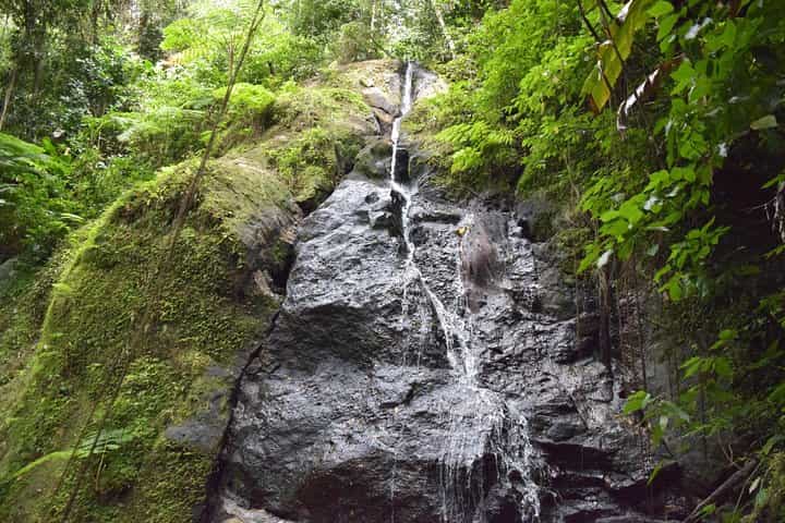 שביל טיול נייטר וורלד סנט לוסיה