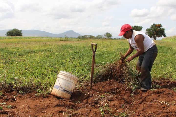 היסטוריה אלף שנה של מקסיקו בערים ובמסורות של קולוטפק