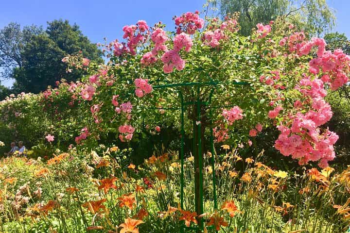 Monet's Gardens & House-Private Giverny Tour From Paris