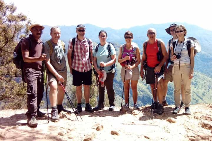 Explore Ella: Sightseeing & Adventure Tour with Return Transfers
