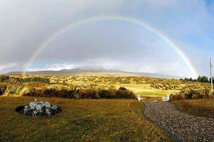 Antisana Volcano Private Tour - Adventure & Condors Watching 