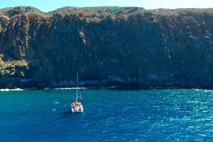 Whale watching and listening Eco-Catamaran Tour with Food Tasting