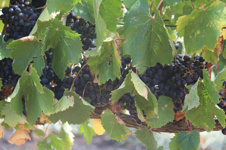 10-Day South Africa Tour: Johannesburg & Cape Town