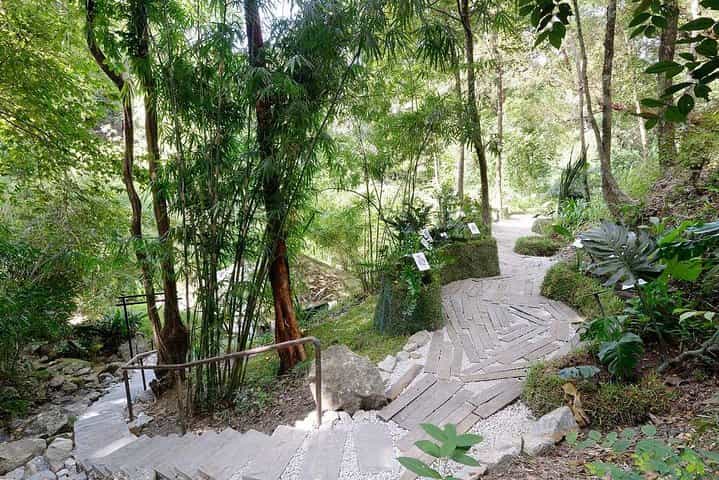 Malaysia: Penang Tropical Spice Garden Guided Tours Tickets