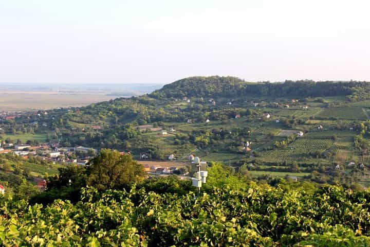 Winetaste in Villany, and visiting Pécs, on a private tour