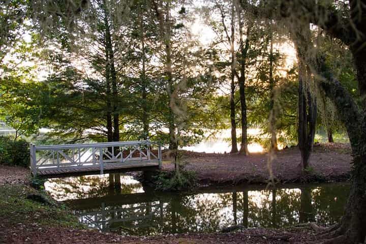 סאו ז'וזה דוס קאמפוס (סיור מודרך ברכב פרטי)
