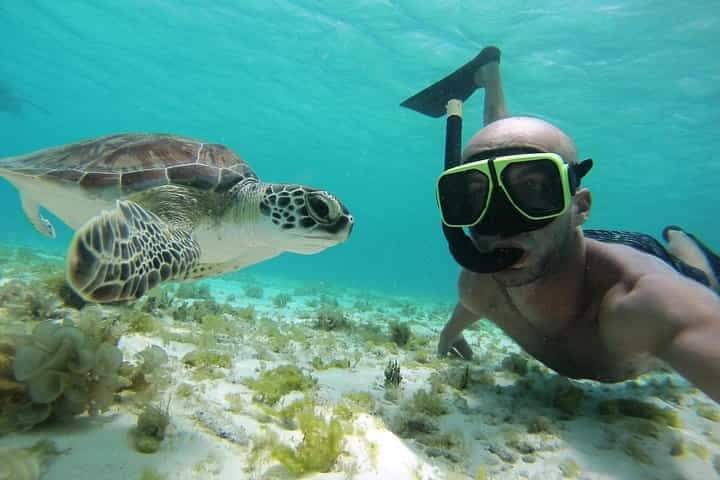 סיור שנורקלינג בקריביים