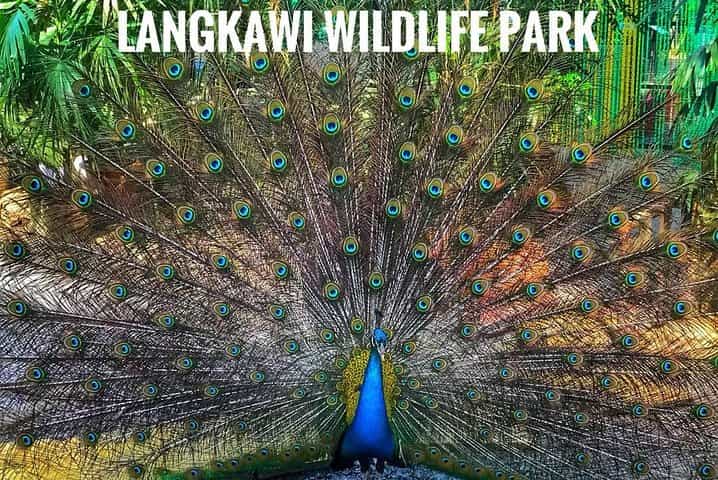 Malaysia: Langkawi Wildlife Park Entry Ticket