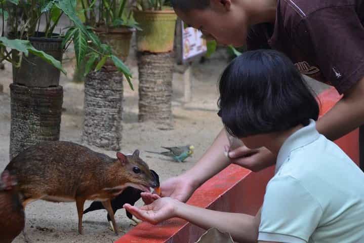 Malaysia: Langkawi Wildlife Park Entry Ticket