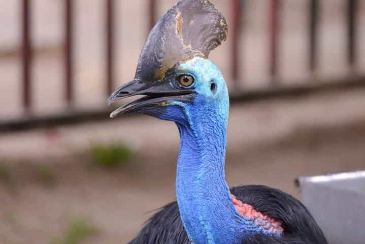 Malaysia: Langkawi Wildlife Park Entry Ticket