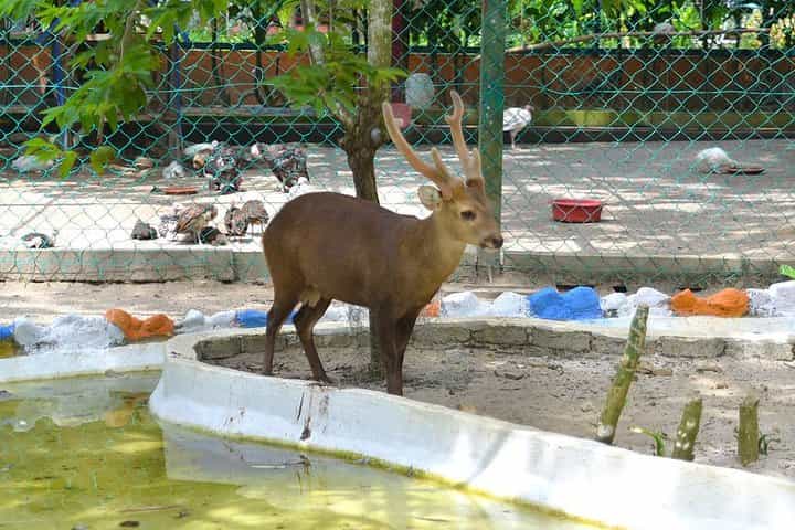 Malaysia: Langkawi Wildlife Park Entry Ticket