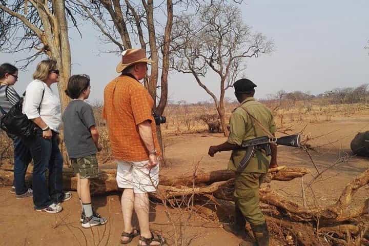 נסיעת ספארי/מעקב אחרי קרנפים לבנים