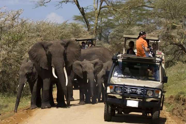 10 Days Best of Kenya Big Five Wildlife Safari