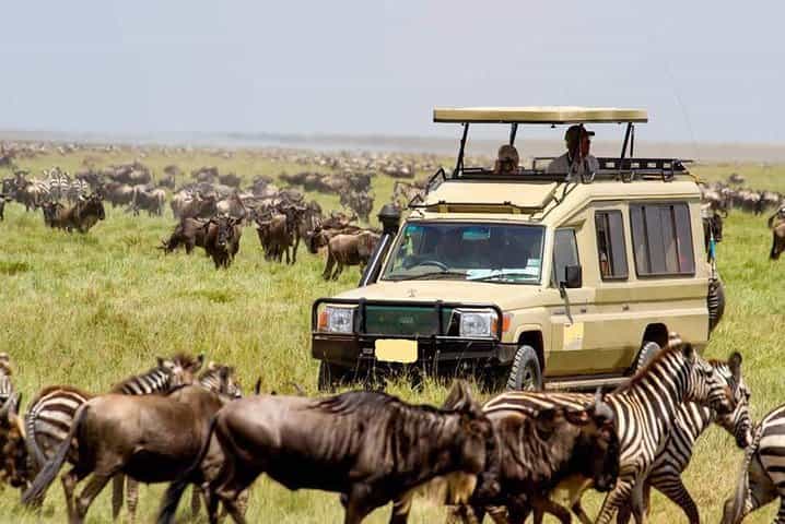 10 Days Best of Kenya Big Five Wildlife Safari