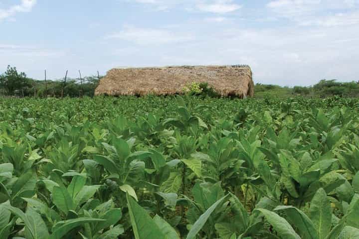 Higuey City Tour from Punta Cana