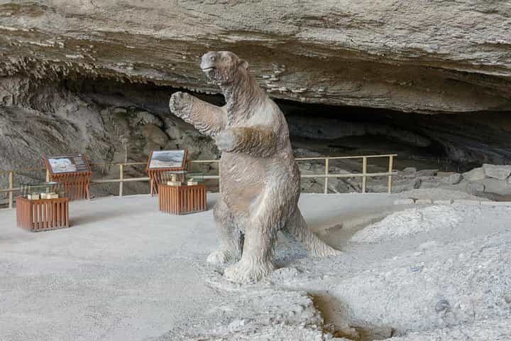 פוארטו נטאלס: טיול יום מלא בטורס דל פינה
