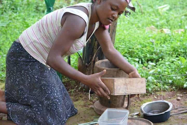 ספארי של 8 ימים במפלי מורצ'יסון, טיול עם שימפנזים וגורי גורי.