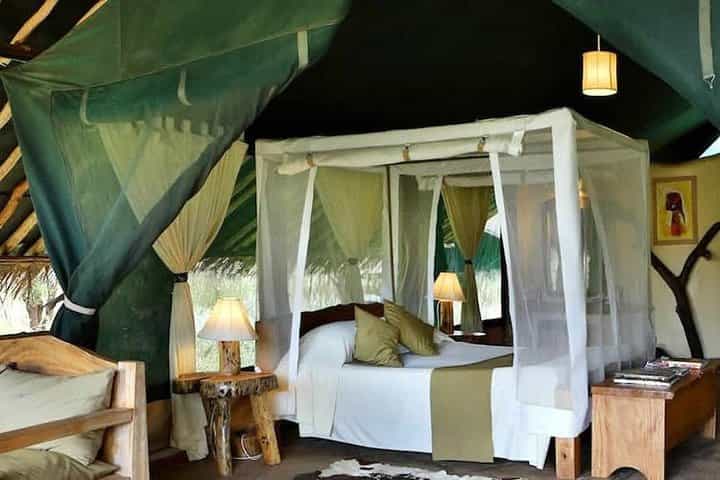 3 ימים של ספארי קניה בפארק הלאומי אמבוסלי