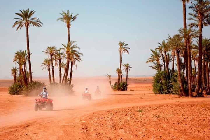 סיור הרפתקאות רכיבת טרקטורונים במטעי התמרים של מרקש