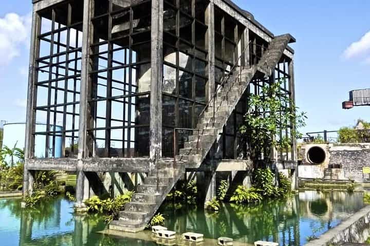 סיור רום באחוזת המפדן וארוחת צהריים מפאלמות'