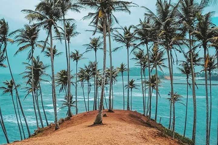 סיור קלאסי בסרי לנקה 7 ימים - רכב פרטי (ניתן להתאים אישית)