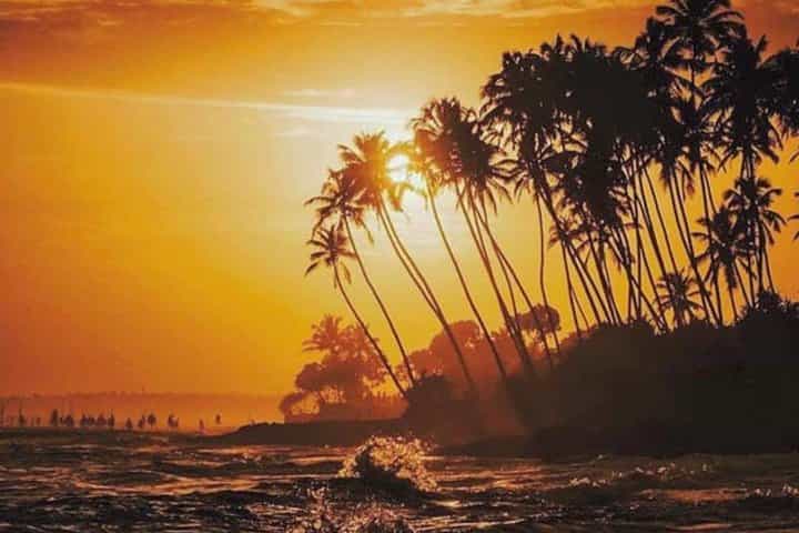 סיור קלאסי בסרי לנקה 7 ימים - רכב פרטי (ניתן להתאים אישית)