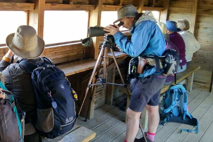 The Great Bustard Adventure 8 days Monte Gordo