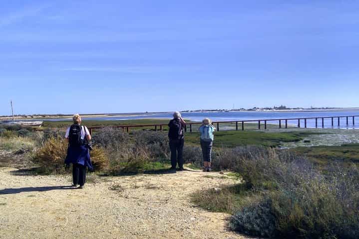 The Great Bustard Adventure 8 days Monte Gordo