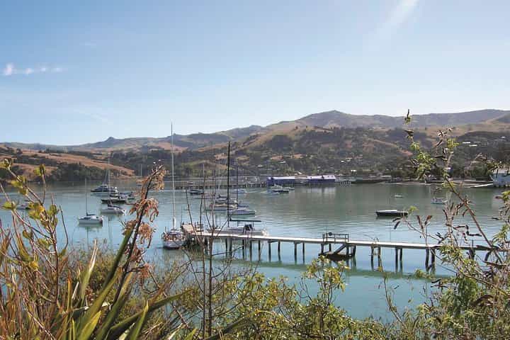 Akaroa Shore Excursion: Christchurch City Tour and Jet Boating