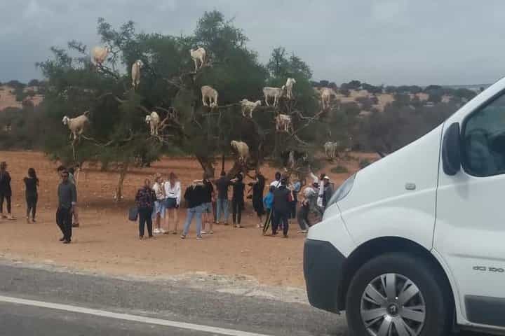 שירות העברה פרטי מאגאדיר למרקש.