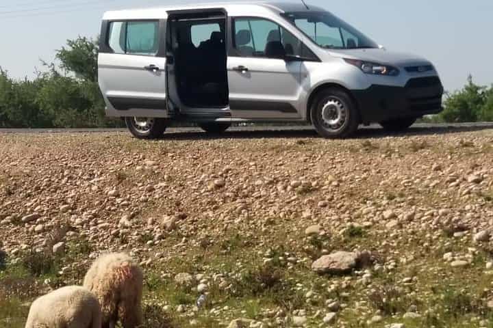 העברה פרטית אסאוירה סאפי.