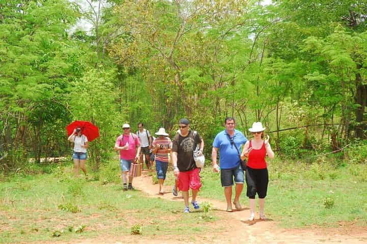 טרק הרפתקאות לכפרי פאלונג בקלאו
