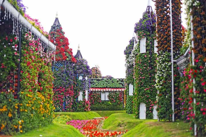 Miracle Flora & Fauna Marvels at Miracle Garden