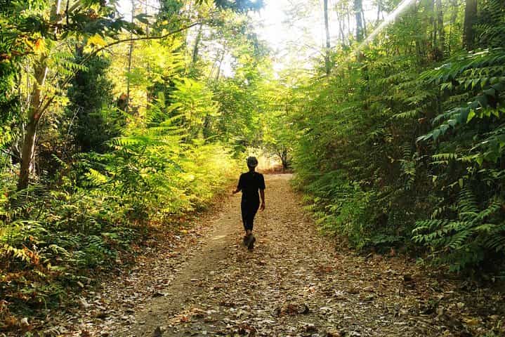 טיול רגלי במוכתר עם פעילויות חוץ בלבנון*️