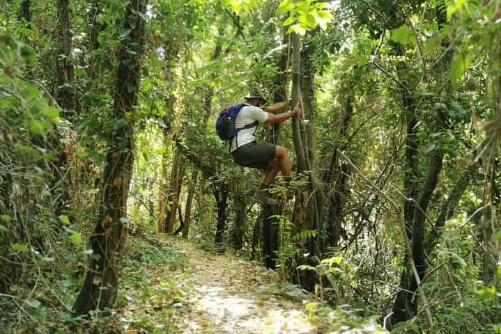 טיול רגלי במוכתר עם פעילויות חוץ בלבנון*️